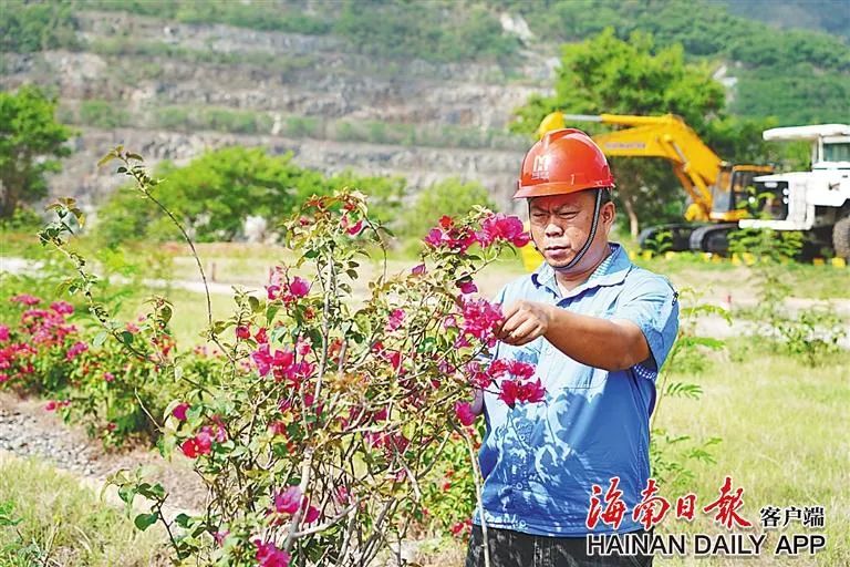 雷火-雷火(中国)一站式竞技服务网站
这座矿山，为何这么绿？4.jpg